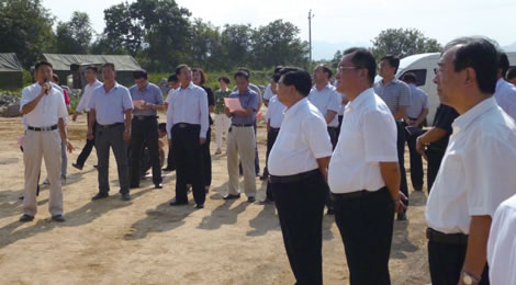 涉县县领导到以岭中药材加工基地观摩