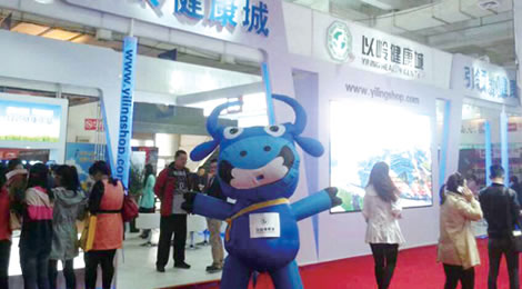 以岭健康城闪亮O2O电子商务博览会