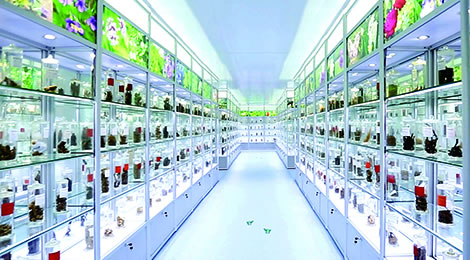 以岭药业中药标本馆正式对外开放