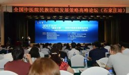中医院民族医院发展策略高峰论坛在石家庄以岭健康城召开