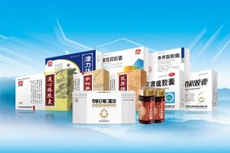 以岭药业：络病理论创新催生5个国家基药