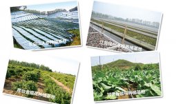 以岭药业：扶贫路上勇当先