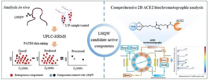 连花清瘟胶囊抗新冠肺炎药理活性成分取得新进展