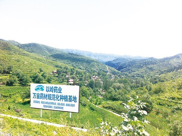 涉县以岭燕赵中药材有限公司被认定为河北省“定制药园”