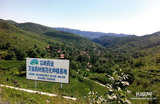 以岭药业荣获“河北省脱贫攻坚先进集体”