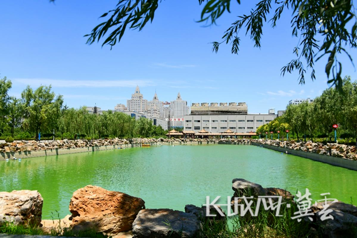 2024 全国两会新观察④｜河北制造业“绿”意浓