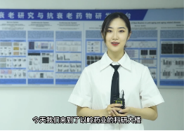 河北新闻网 | 走进以岭③：络病理论创新 为中医药抗衰老研究指明方向