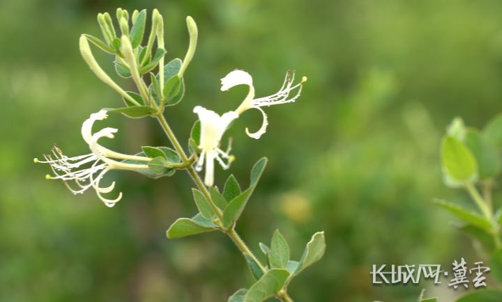 截图20250516163243.png 截图20250516163243.png