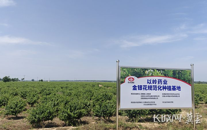 截图20250516162413.png 截图20250516162413.png