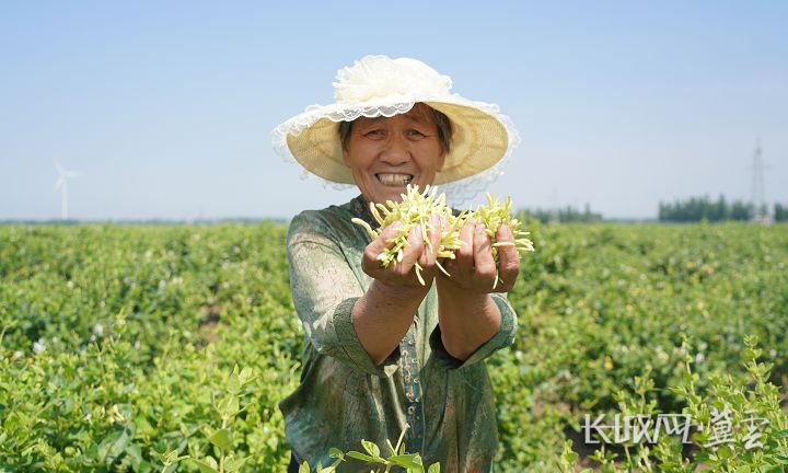 截图20250516161657.png 截图20250516161657.png