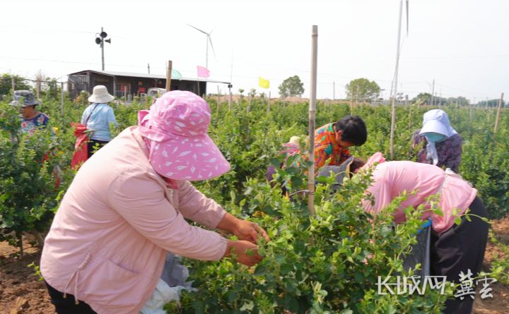 截图20250516180719.png 截图20250516180719.png