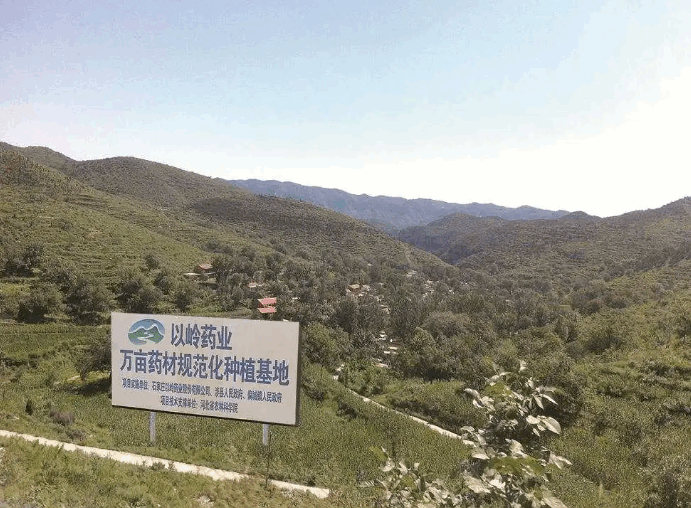 【人民日报】以岭药业中药扶贫新模式：荒山绿了 药材有了 农民增收了