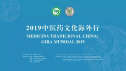 共同见证：中医药文化走向世界 络病学影响世界 –以岭健康城“通络养生八字经”走向拉丁美洲·智利