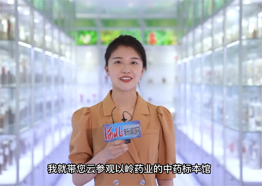 探秘拥有3000多种中药材、集多“技能”于一身的现代化中药标本馆
